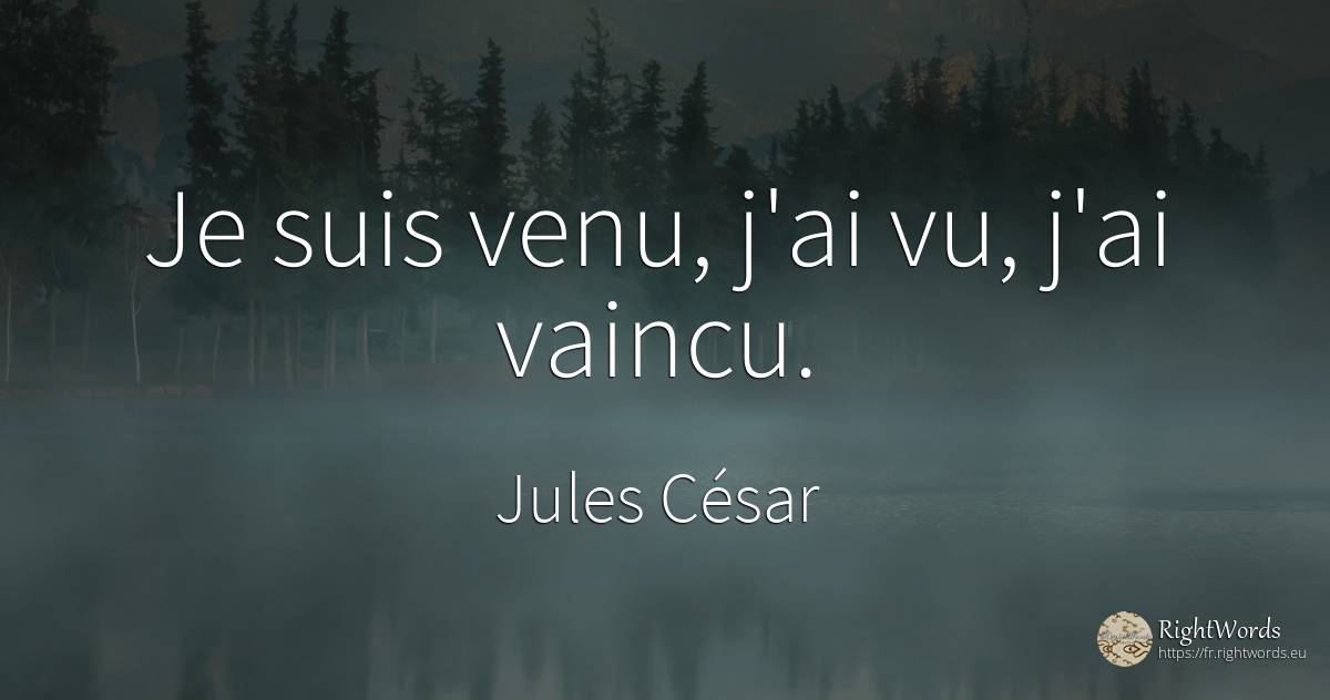 Je suis venu, j'ai vu, j'ai vaincu. - Jules César