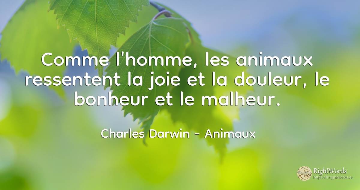 Comme l'homme, les animaux ressentent la joie et la... - Charles Darwin, citation sur animaux, douleur, joie, malheur, bonheur, homme, les actes, les insultes