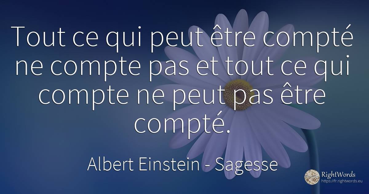 Tout ce qui peut être compté ne compte pas et tout ce qui... - Albert Einstein, citation sur sagesse