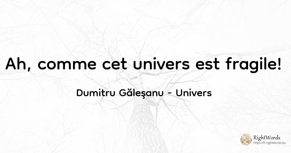 Ah, comme cet univers est fragile! - Dumitru Găleşanu, citation sur univers