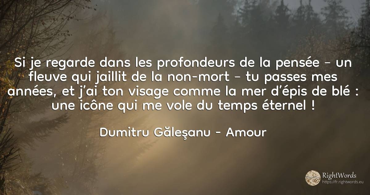 Si je regarde dans les profondeurs de la pensée – un... - Dumitru Găleşanu, citation sur amour