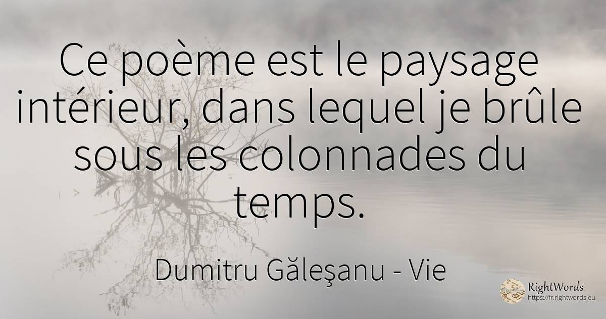 Ce poème est le paysage intérieur, dans lequel je brûle... - Dumitru Găleşanu, citation sur vie