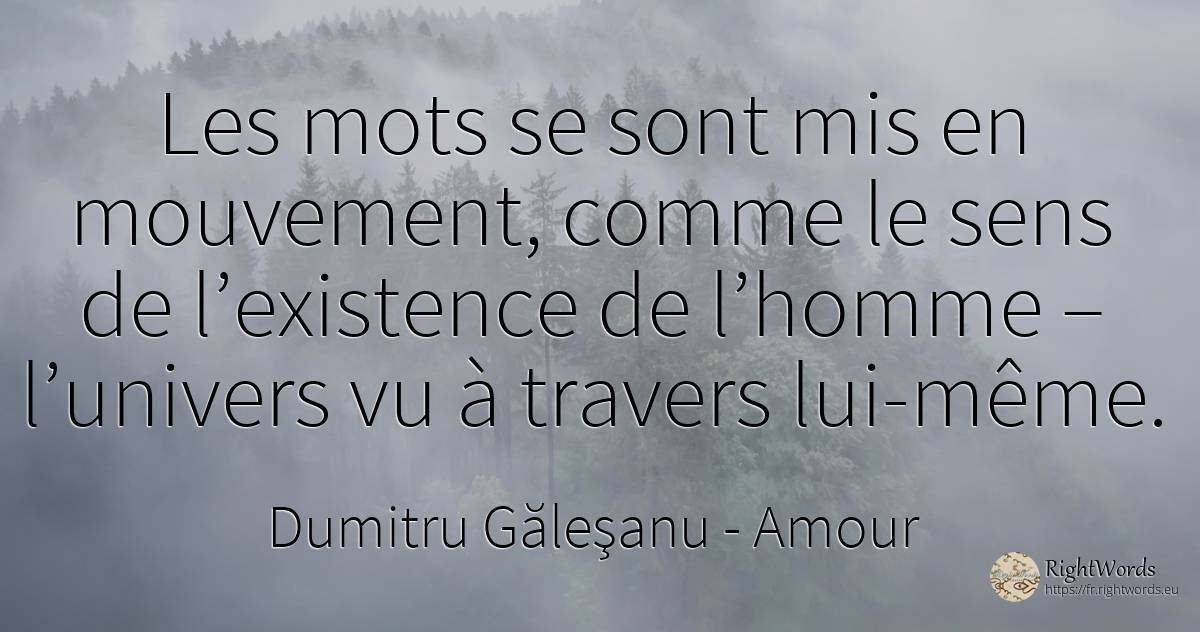 Les mots se sont mis en mouvement, comme le sens de... - Dumitru Găleşanu, citation sur amour