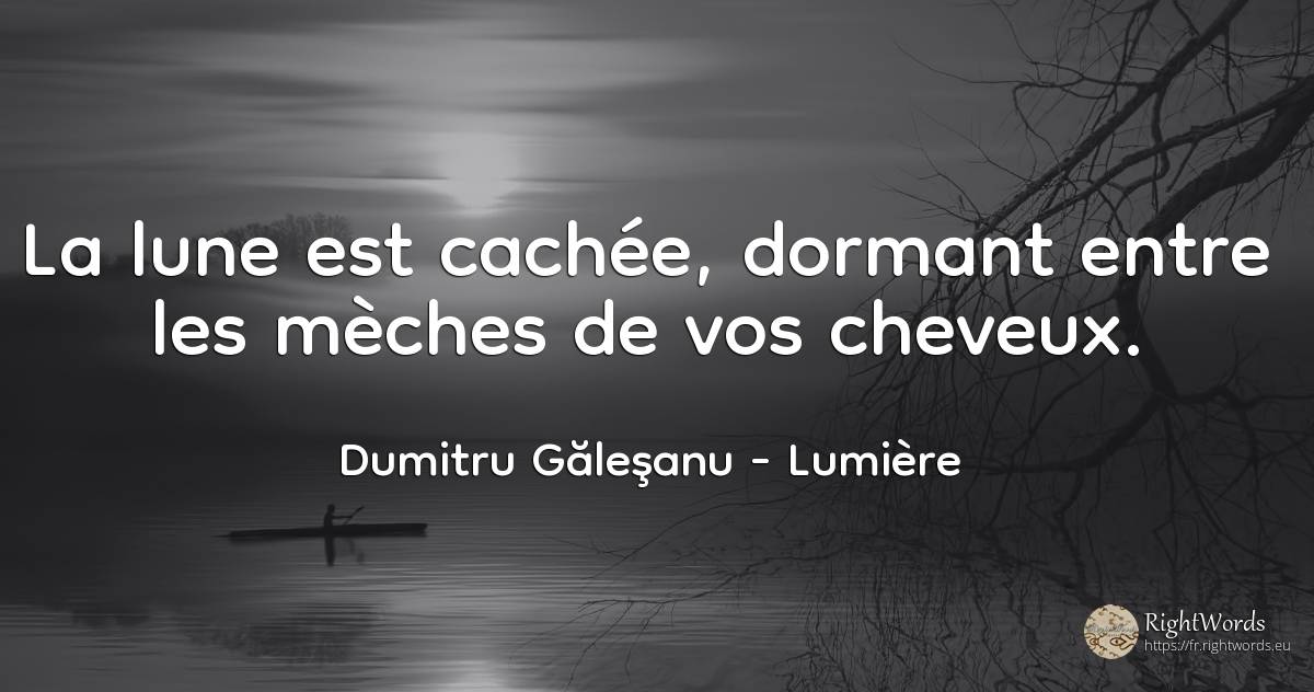 La Lune s'est cachée, s'obscurcissant entre les mèches de... - Dumitru Găleşanu, citation sur lumière