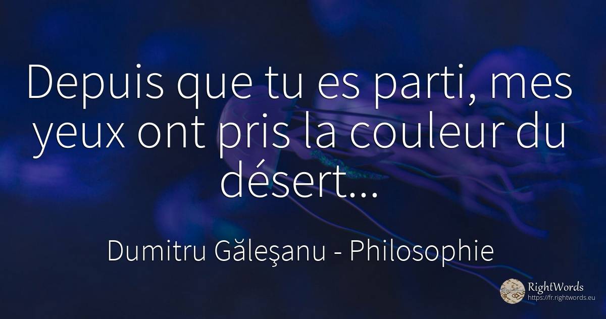 Depuis que tu es parti, mes yeux ont pris la couleur du... - Dumitru Găleşanu, citation sur philosophie