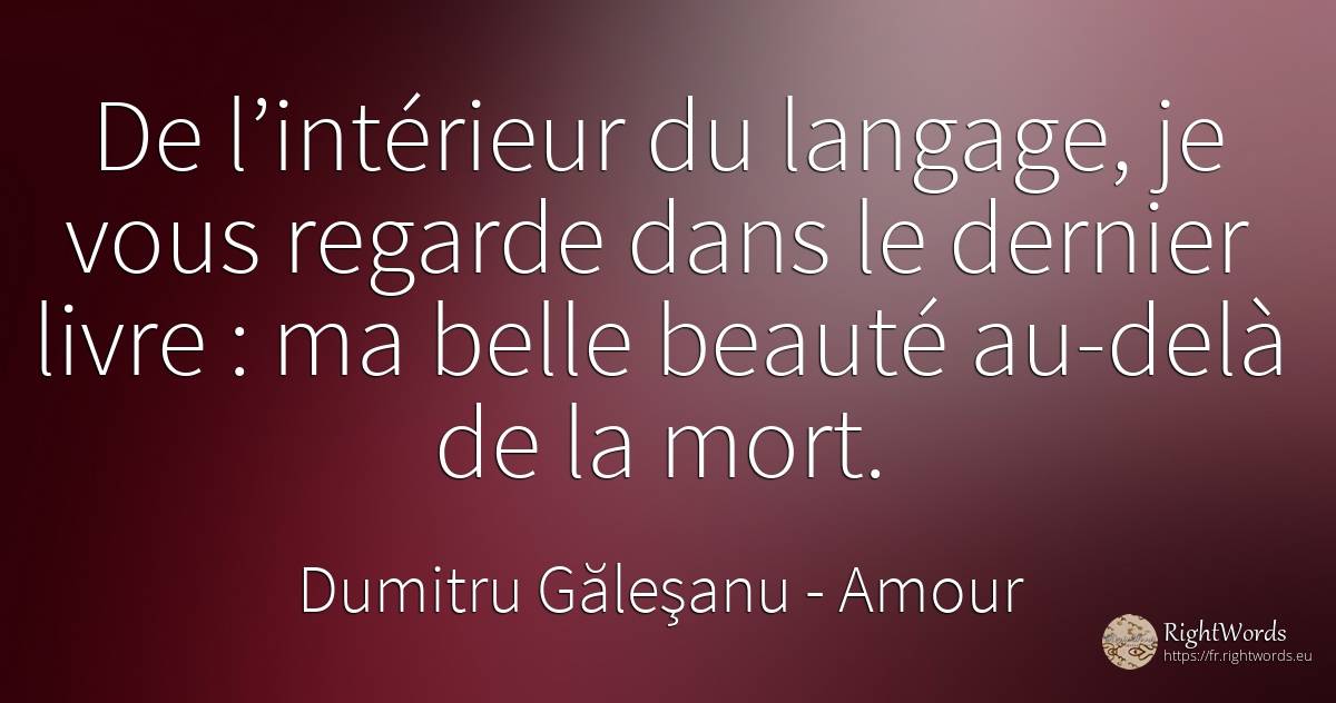 De l’intérieur du langage, je te regarde dans le dernier... - Dumitru Găleşanu, citation sur amour