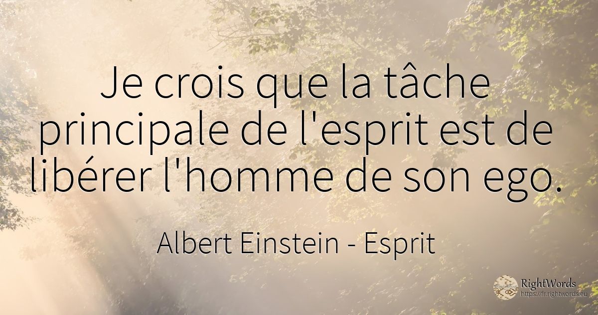 Je crois que la tâche principale de l'esprit est de... - Albert Einstein, citation sur esprit