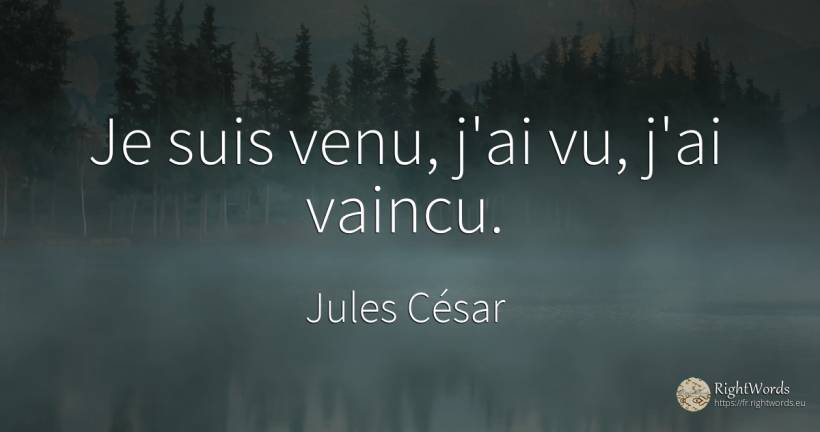 Je suis venu, j'ai vu, j'ai vaincu. - Jules César