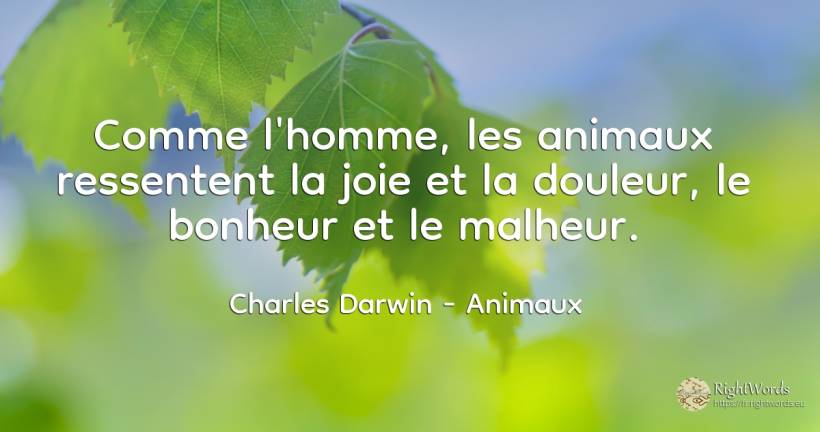 Comme l'homme, les animaux ressentent la joie et la... - Charles Darwin, citation sur animaux, douleur, joie, malheur, bonheur, homme, les actes, les insultes