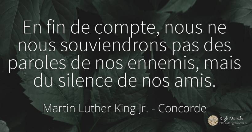 En fin de compte, nous ne nous souviendrons pas des... - Martin Luther King Jr. (MLK), citation sur concorde, ennemis, fin, silence, des ordinateurs