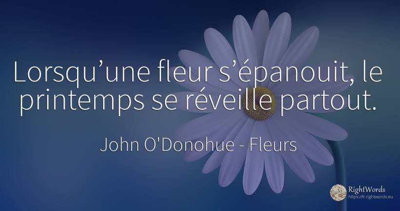 Lorsqu’une fleur s’épanouit, le printemps se réveille... - John O'Donohue, citation sur fleurs