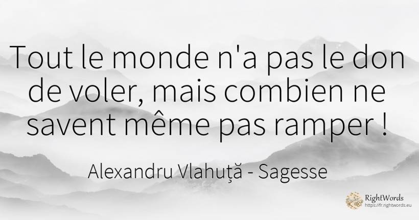 Tout le monde n'a pas le don de voler, mais combien ne... - Alexandru Vlahuță, citation sur sagesse