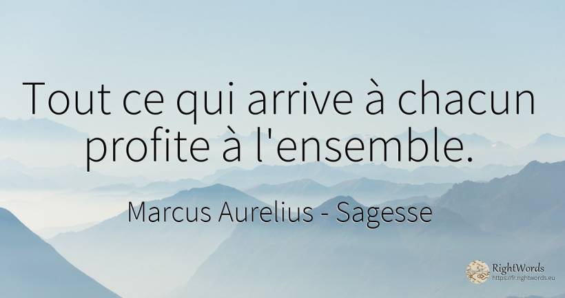 Tout ce qui arrive à chacun profite à l'ensemble. - Marcus Aurelius (Marcus Catilius Severus), citation sur sagesse