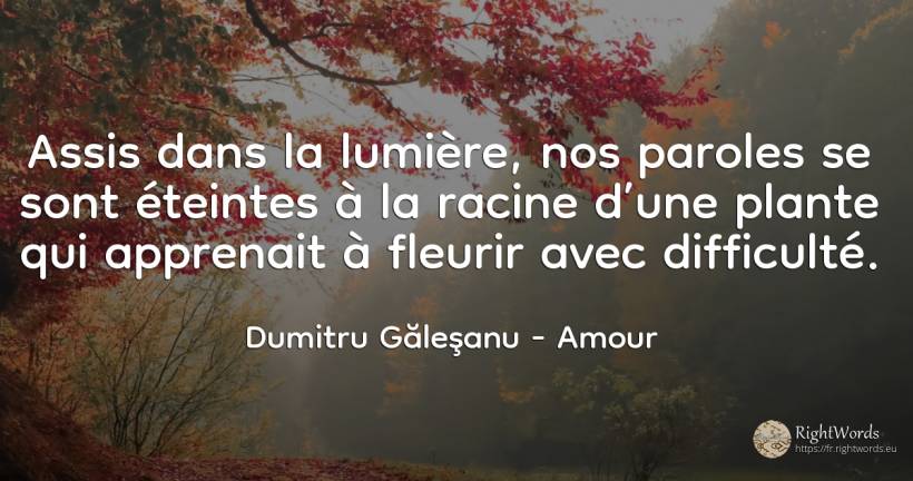 Assis dans la lumière, nos paroles se sont éteintes à la... - Dumitru Găleşanu, citation sur amour