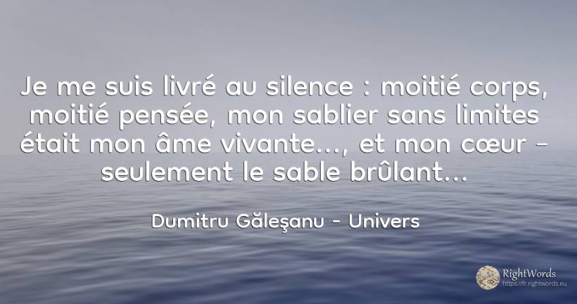 Je me suis donné à la quiétude : moitié – corps, moitié –... - Dumitru Găleşanu, citation sur univers