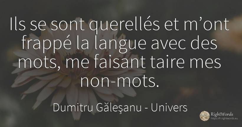 Ils se sont disputés et m'ont frappé à la langue, les... - Dumitru Găleşanu, citation sur univers