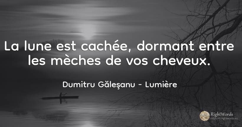 La lune est cachée, dormant entre les mèches de vos cheveux. - Dumitru Găleşanu, citation sur lumière