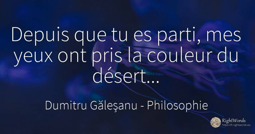 Depuis que tu es parti, mes yeux ont pris la couleur du... - Dumitru Găleşanu, citation sur philosophie