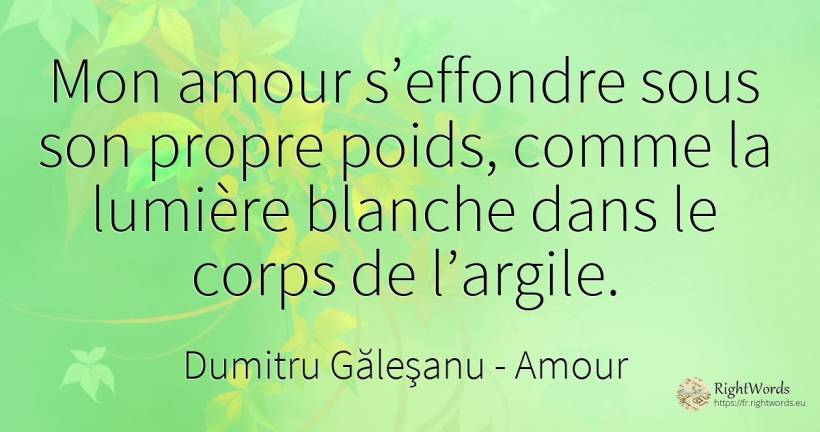 Mon amour s’effondre sous son propre poids, comme la... - Dumitru Găleşanu, citation sur amour