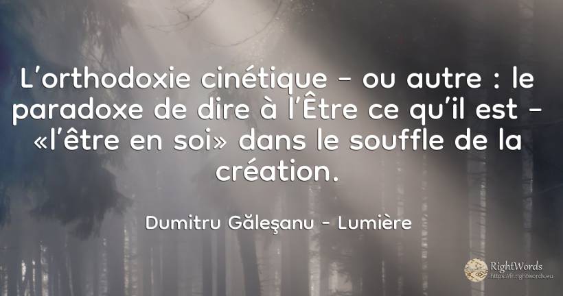 L’orthodoxie cinétique – ou, d’une autre manière : le... - Dumitru Găleşanu, citation sur lumière