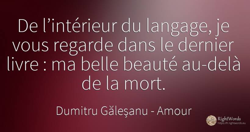 De l’intérieur du langage, je te regarde dans le dernier... - Dumitru Găleşanu, citation sur amour