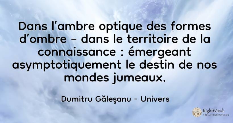 Dans l’ambre optique des formes d’ombre – dans le... - Dumitru Găleşanu, citation sur univers