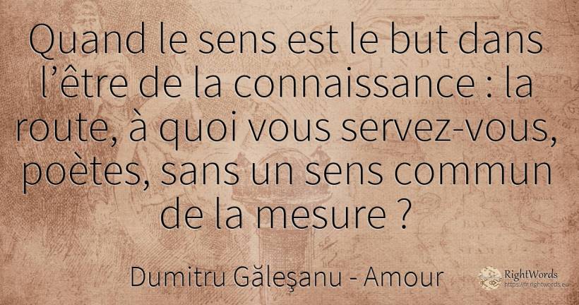 Quand le sens est le but dans l’être de la connaissance :... - Dumitru Găleşanu, citation sur amour