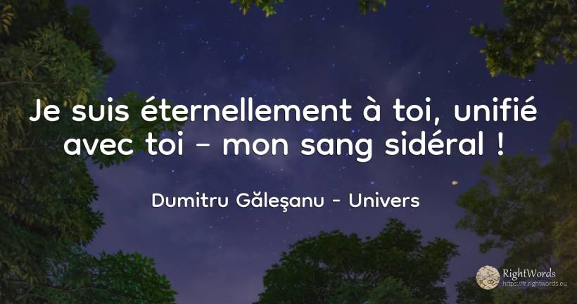 Je suis éternellement à toi, unifié avec toi – mon sang... - Dumitru Găleşanu, citation sur univers