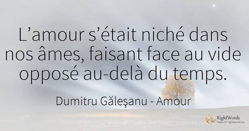 L’amour s’était niché dans nos âmes, faisant face au vide... - Dumitru Găleşanu, citation sur amour