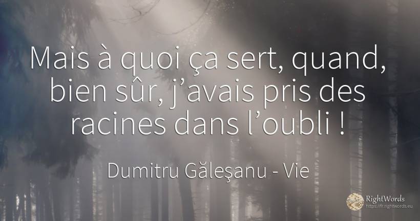 Mais à quoi ça sert, quand, bien sûr, j’avais pris des... - Dumitru Găleşanu, citation sur vie