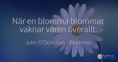 När en blomma blommar vaknar våren överallt.