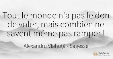 Tout le monde n'a pas le don de voler, mais combien ne...