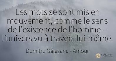 Les mots se sont mis en mouvement, comme le sens de...