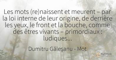 Les mots (re)naissent et meurent – par la loi interne de...